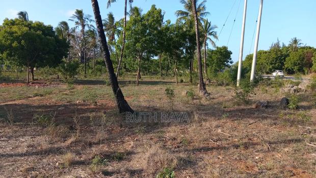 Land and Plots - thumbnail 4