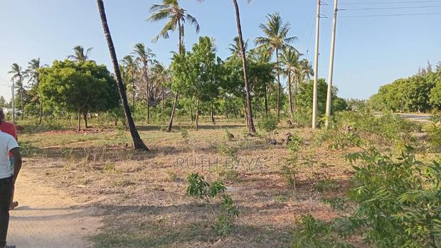 Land and Plots - thumbnail 5