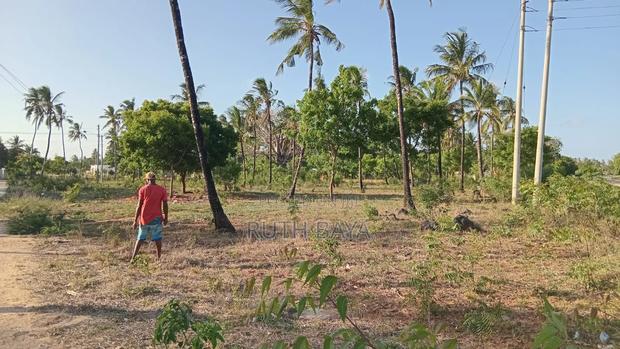 Land and Plots - thumbnail 6