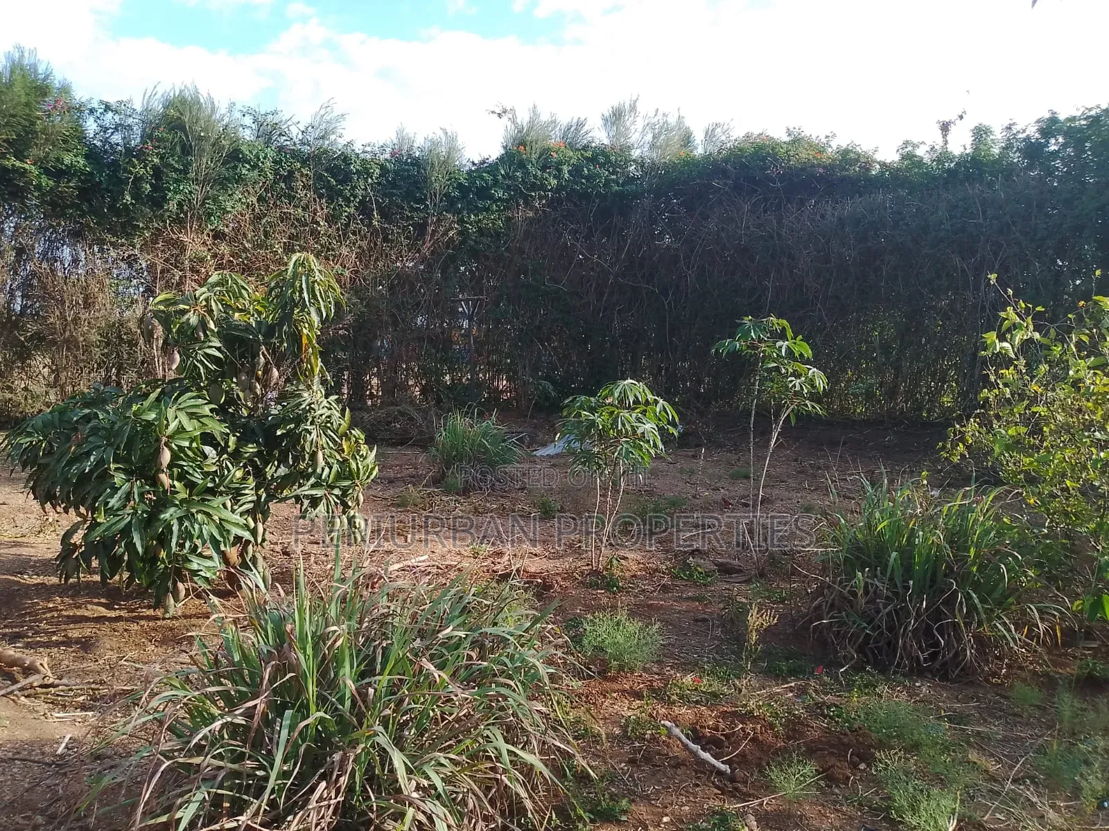 3bdrm Maisonette in Merisho, Ongata Rongai for rent