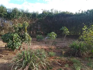 3bdrm Maisonette in Merisho, Ongata Rongai for rent
