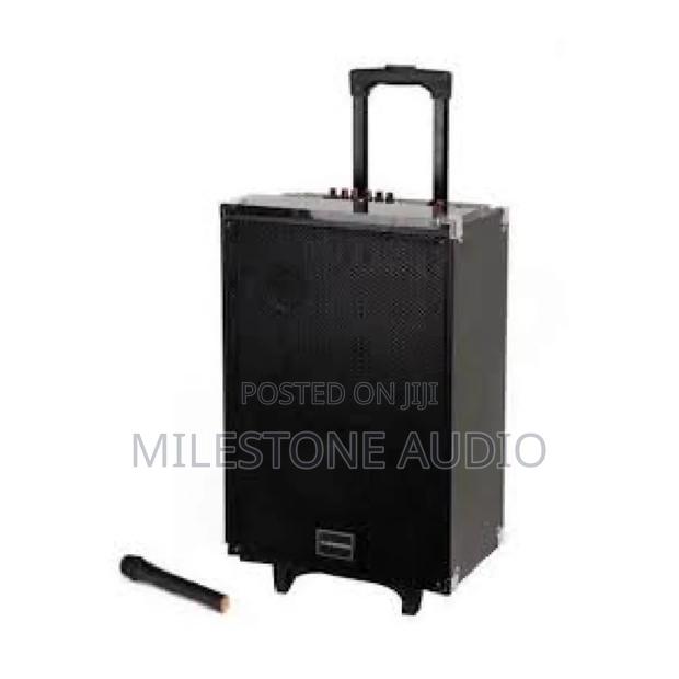 LTS 12a Tagwood Portable Speaker