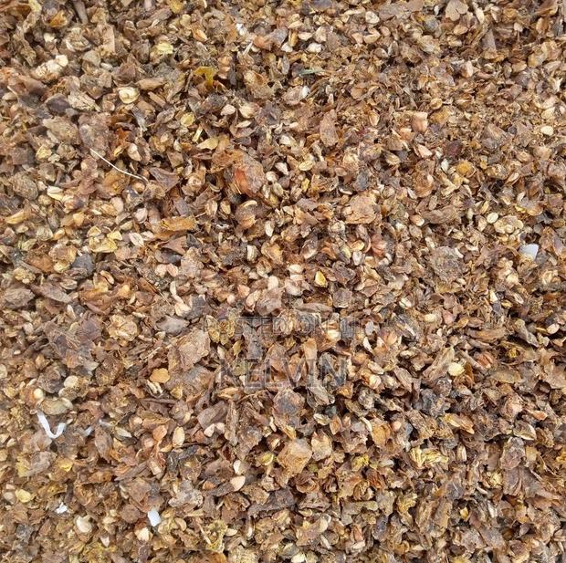 Kayaba Fencing Seeds