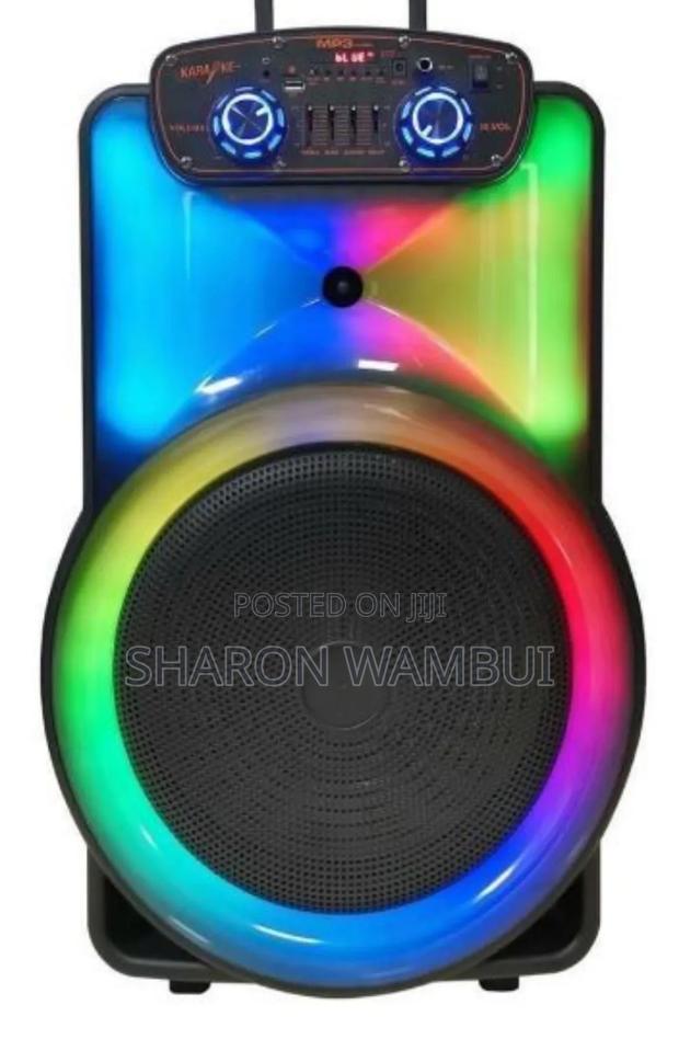Premier Rechargeable Trolley Speaker 15inch/15inch Trolley Speaker