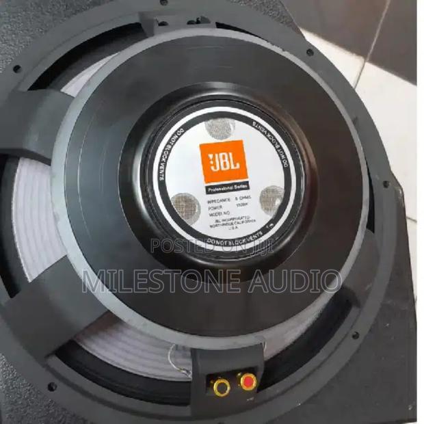 JBL 15 Inches Naked Speaker in Kenya - main view