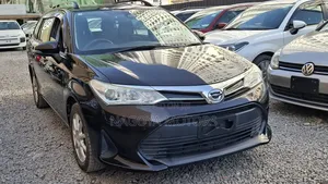 Toyota Corolla Fielder 2018 Burgundy