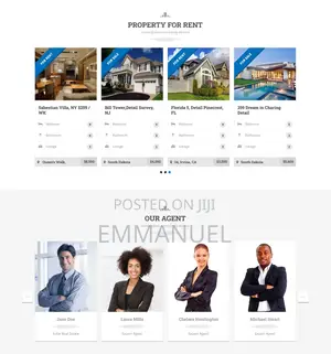 Responsive Website Design
