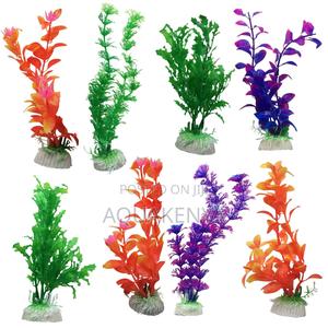 Aquarium Plants for Decor - main view