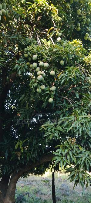 Selling Nature's Way Food Supplements in Addition to Fruits