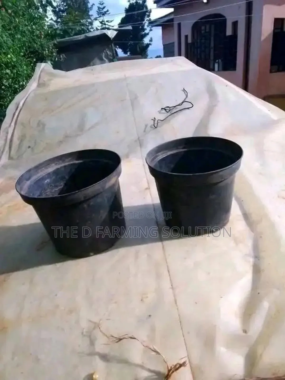 4 Litres Planting Containers
