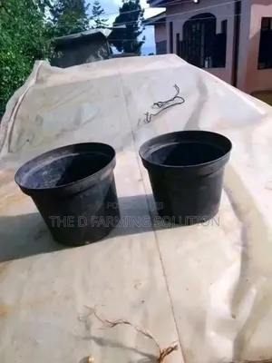 4 Litres Planting Containers
