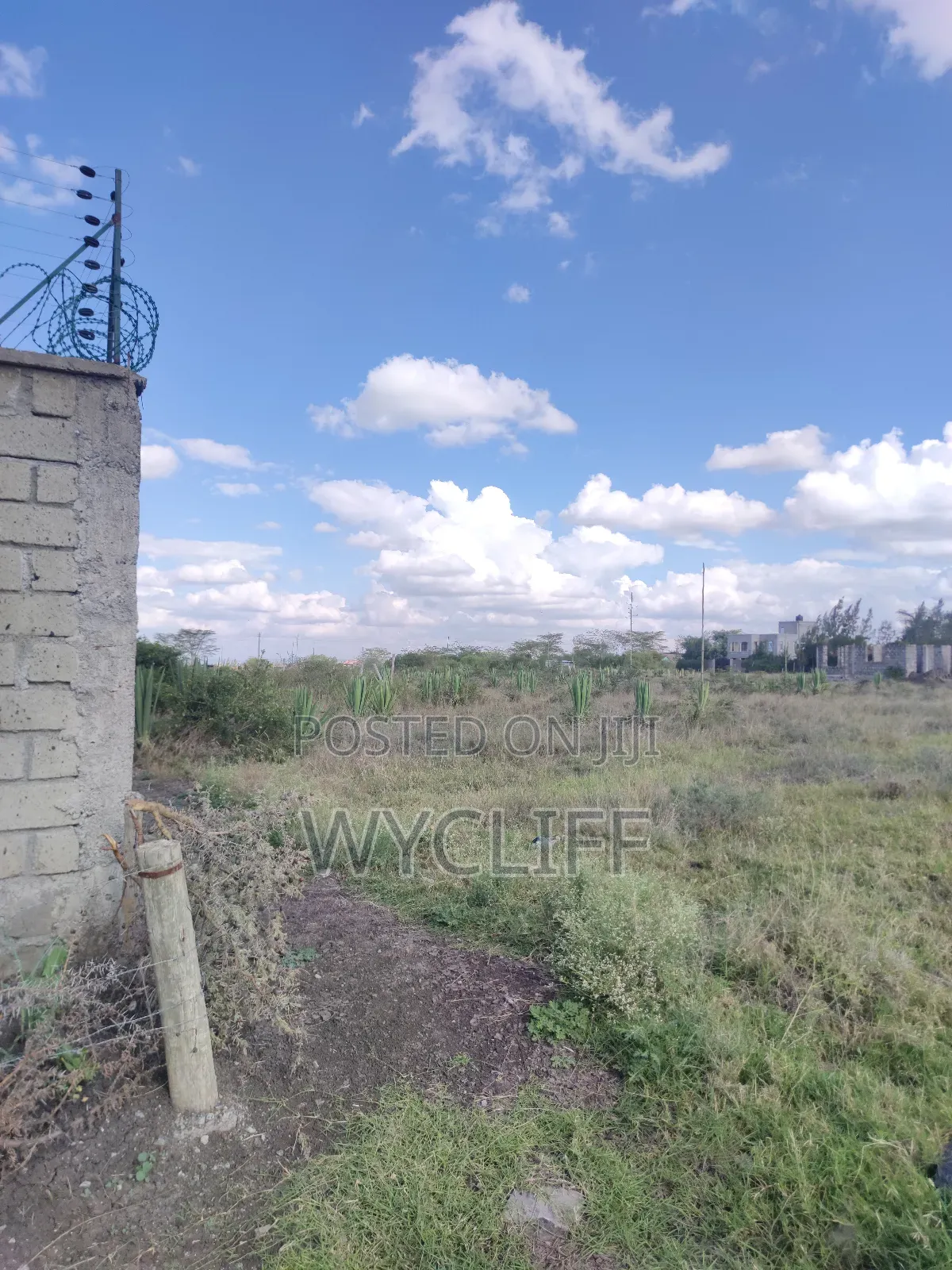 Plot for Sale (50x100) in Katani, Seme