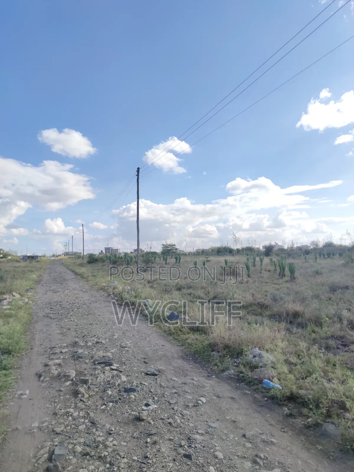 Plot for Sale (50x100) in Katani, Seme