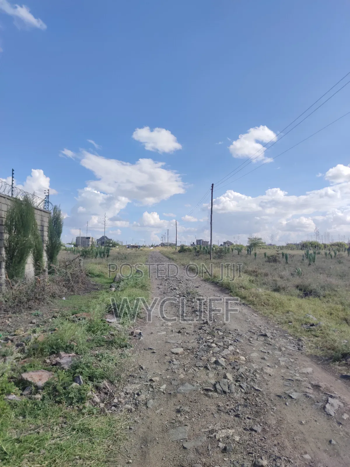 Plot for Sale (50x100) in Katani, Seme