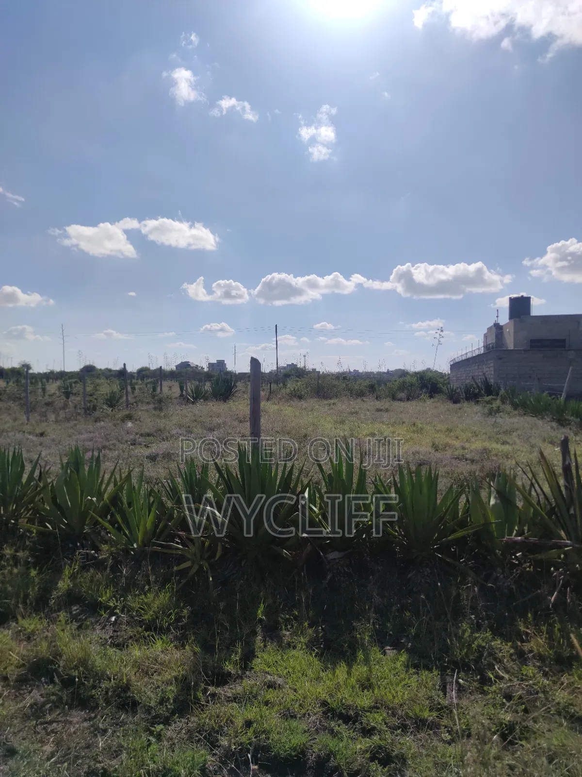 Plot for Sale (50x100) in Katani, Seme