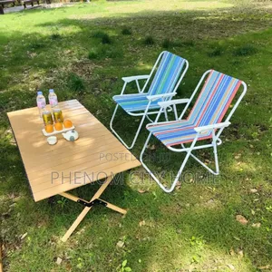 Folding Camping/Picnic Chairs