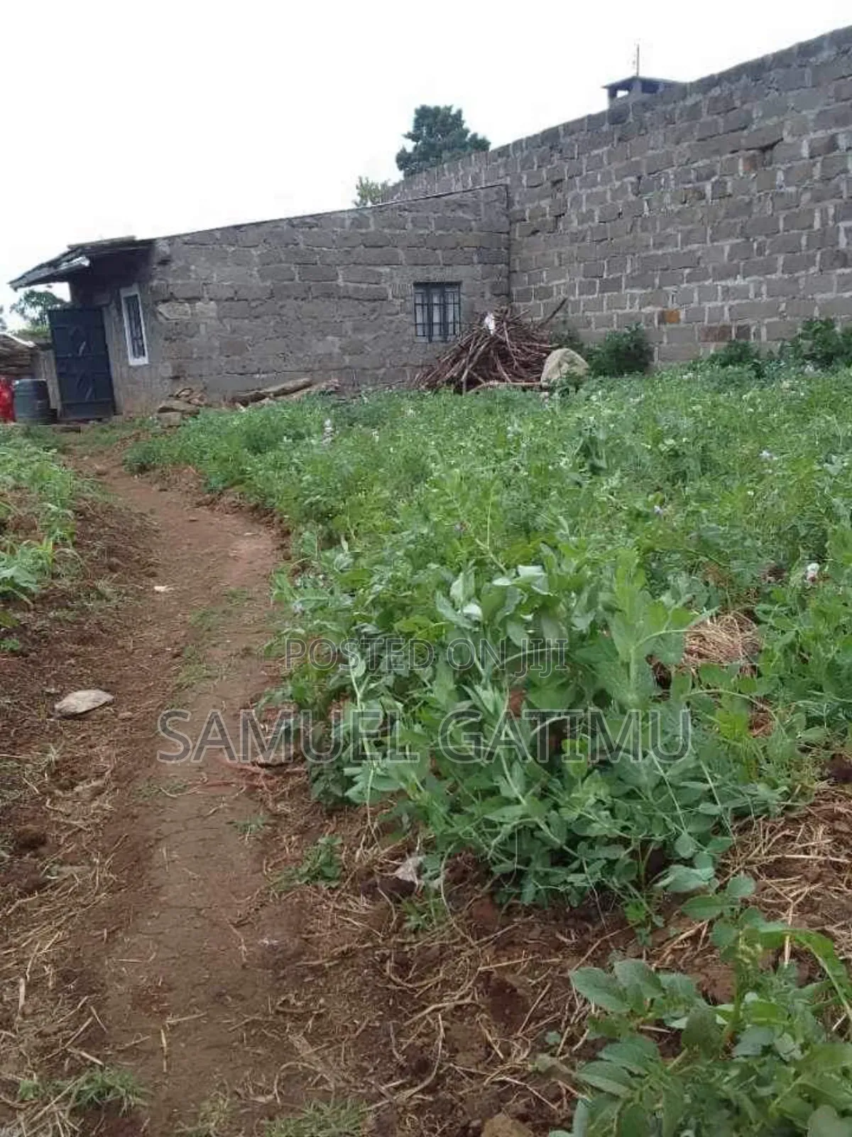 Plot for Sale