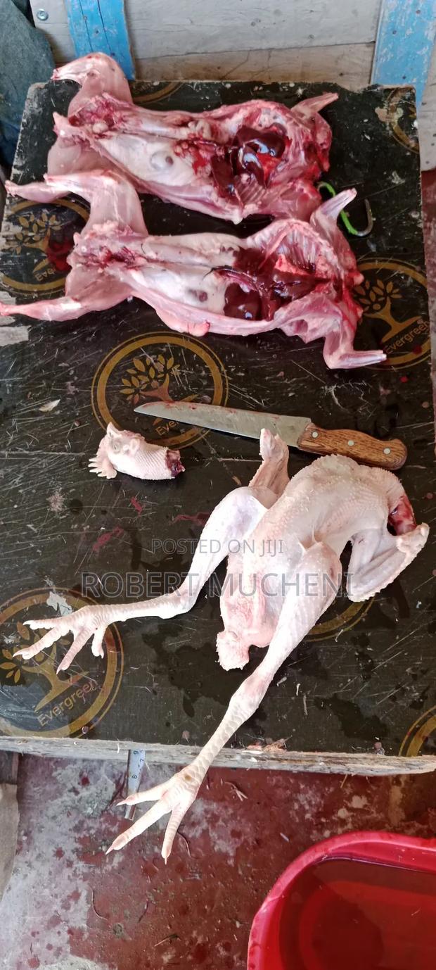 Kienyeji Chicken for Sale - thumbnail 3