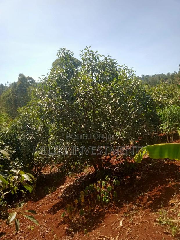 1 Acre on Sale at Kabati-Kagunduini - main view