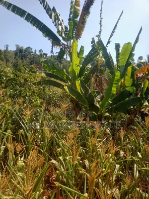 1 Acre on Sale at Kabati-Kagunduini