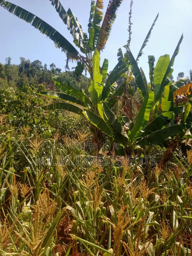 1 Acre on Sale at Kabati-Kagunduini - thumbnail 2