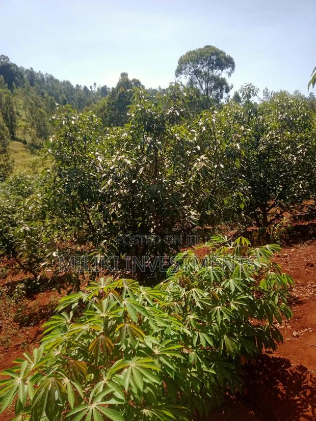 1 Acre on Sale at Kabati-Kagunduini - thumbnail 3