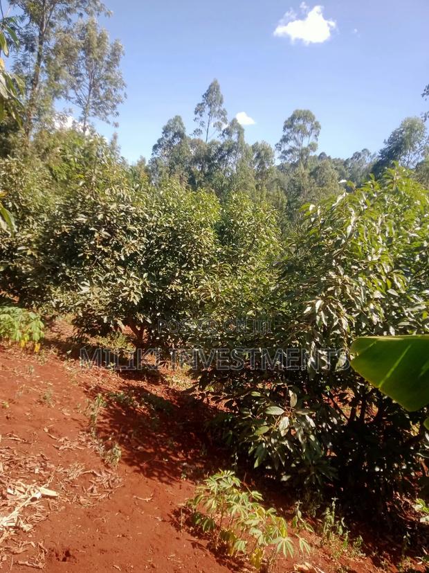 1 Acre on Sale at Kabati-Kagunduini - thumbnail 4