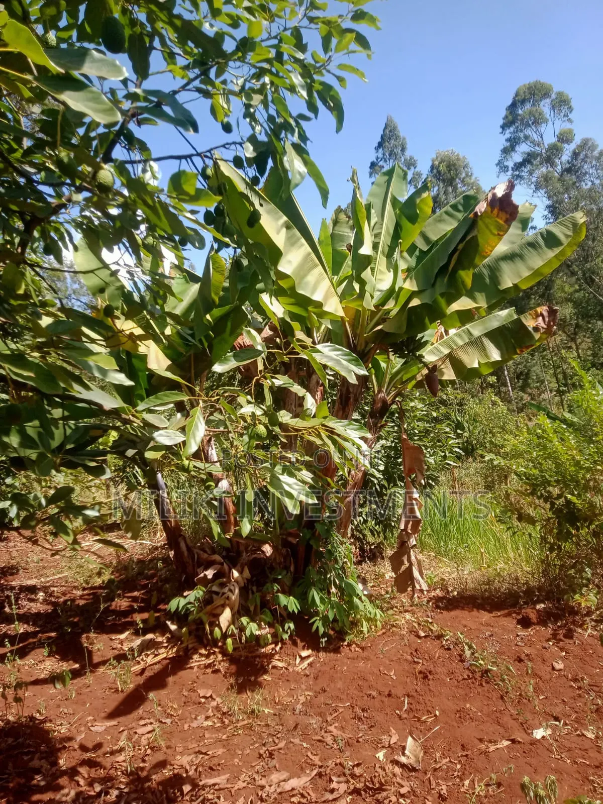 1 Acre on Sale at Kabati-Kagunduini