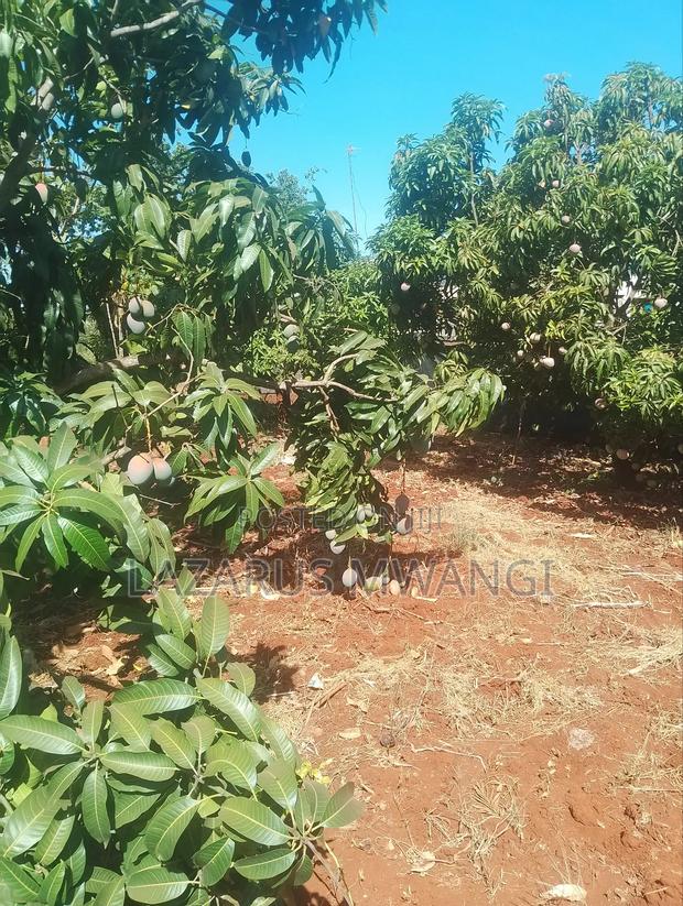 A Quarter Acre on Quick Sale Makutano Mwea - thumbnail 7