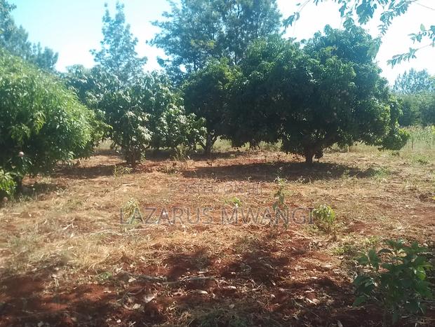 A Quarter Acre on Quick Sale Makutano Mwea - thumbnail 12