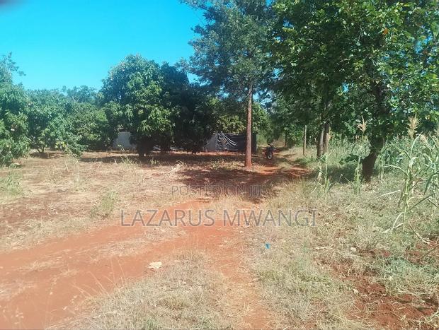 A Quarter Acre on Quick Sale Makutano Mwea - thumbnail 14
