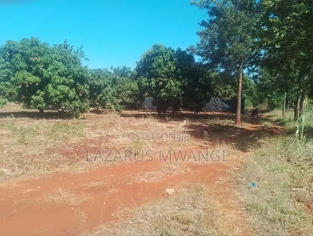 A Quarter Acre on Quick Sale Makutano Mwea - thumbnail 15