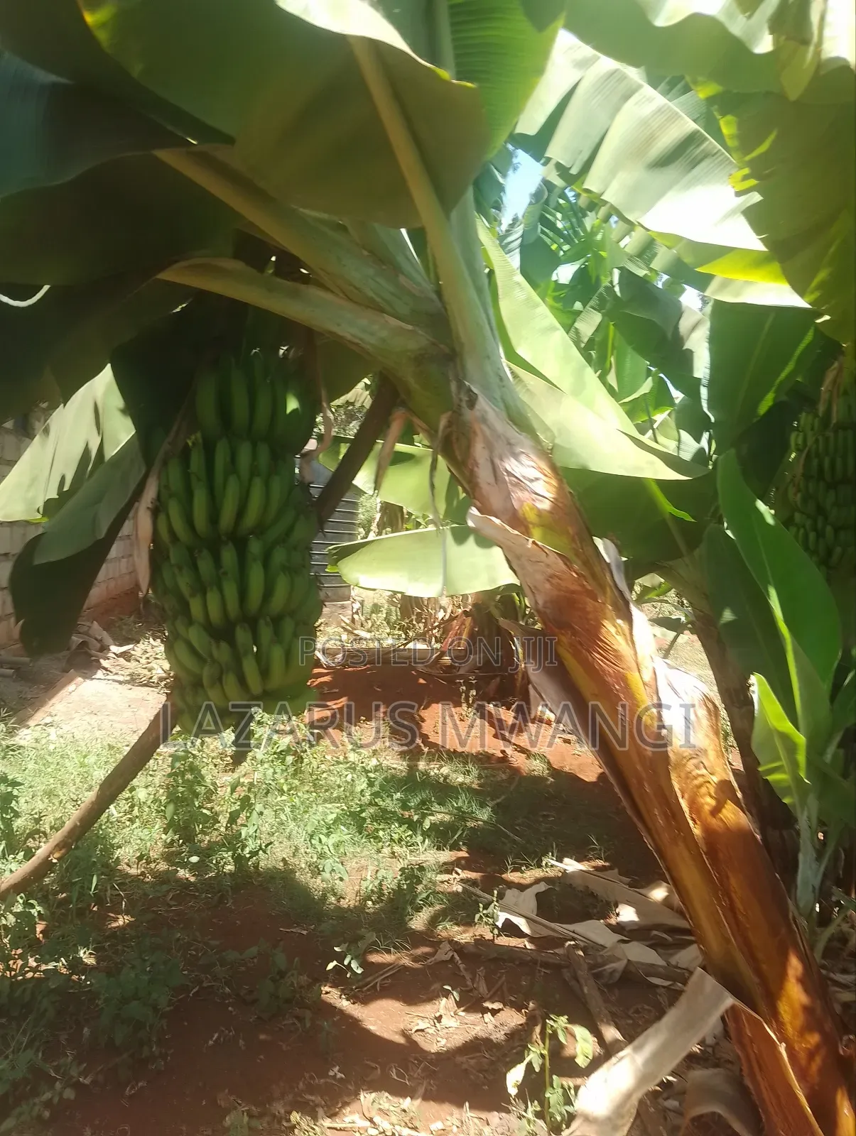 New Built Home 3 Bedroom House Kangai Kirinyaga