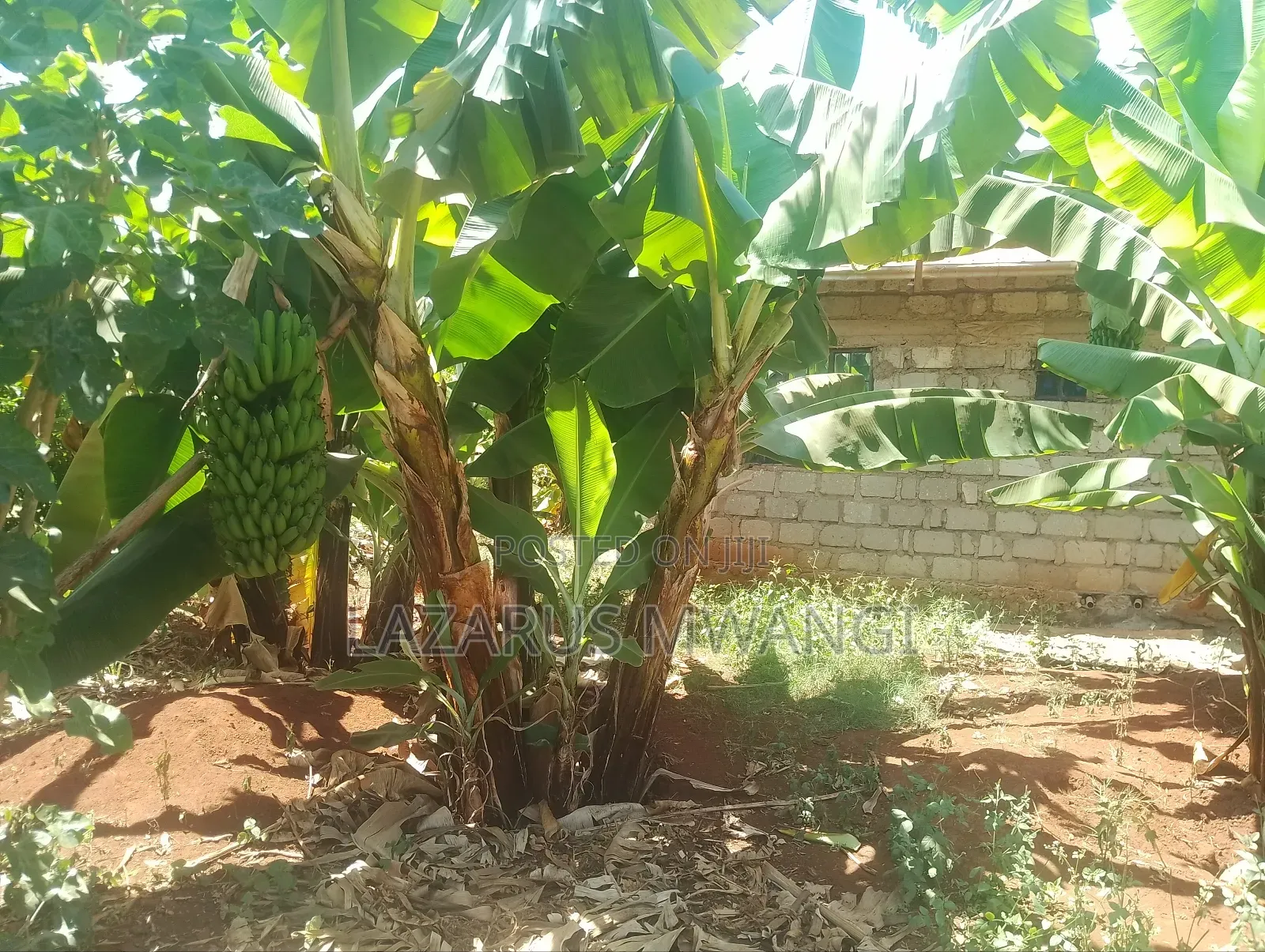 New Built Home 3 Bedroom House Kangai Kirinyaga