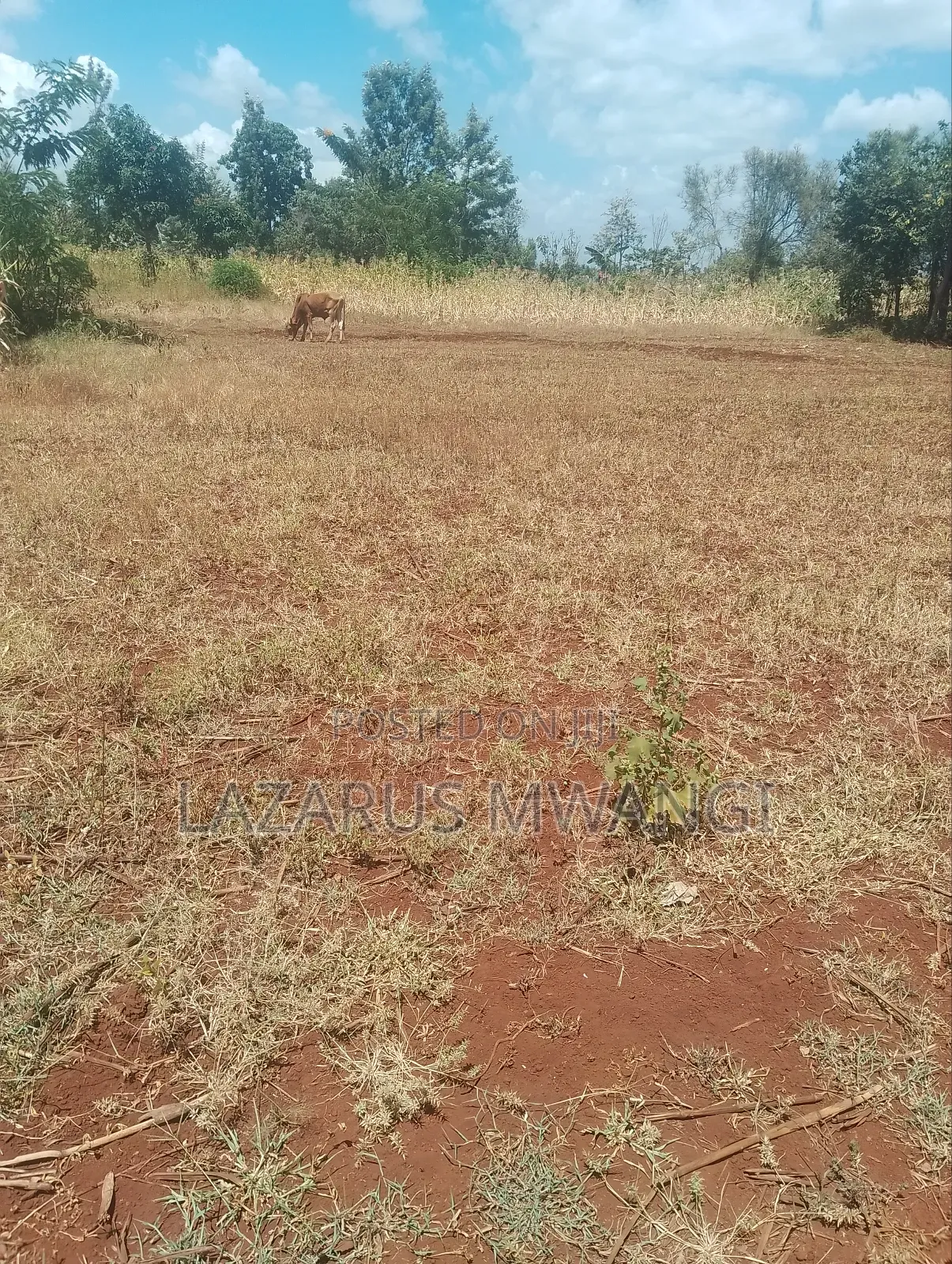 0.10 Plot for Sale at Kimicha Area Kirinyaga Near Tarmac