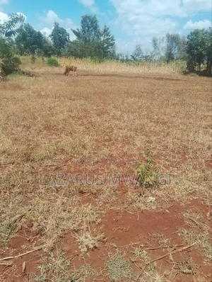 0.10 Plot for Sale at Kimicha Area Kirinyaga Near Tarmac