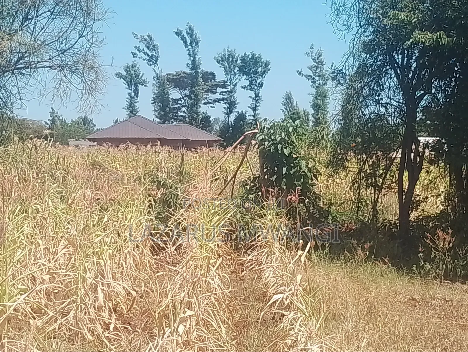 0.10 Plot for Sale at Kimicha Area Kirinyaga Near Tarmac