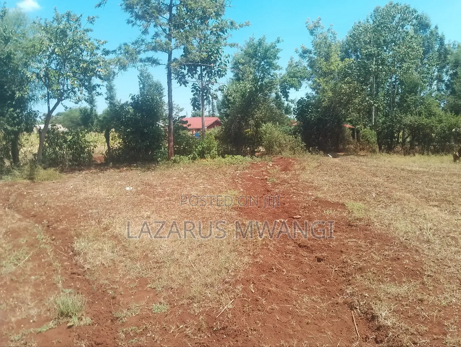0.10 Plot for Sale at Kimicha Area Kirinyaga Near Tarmac