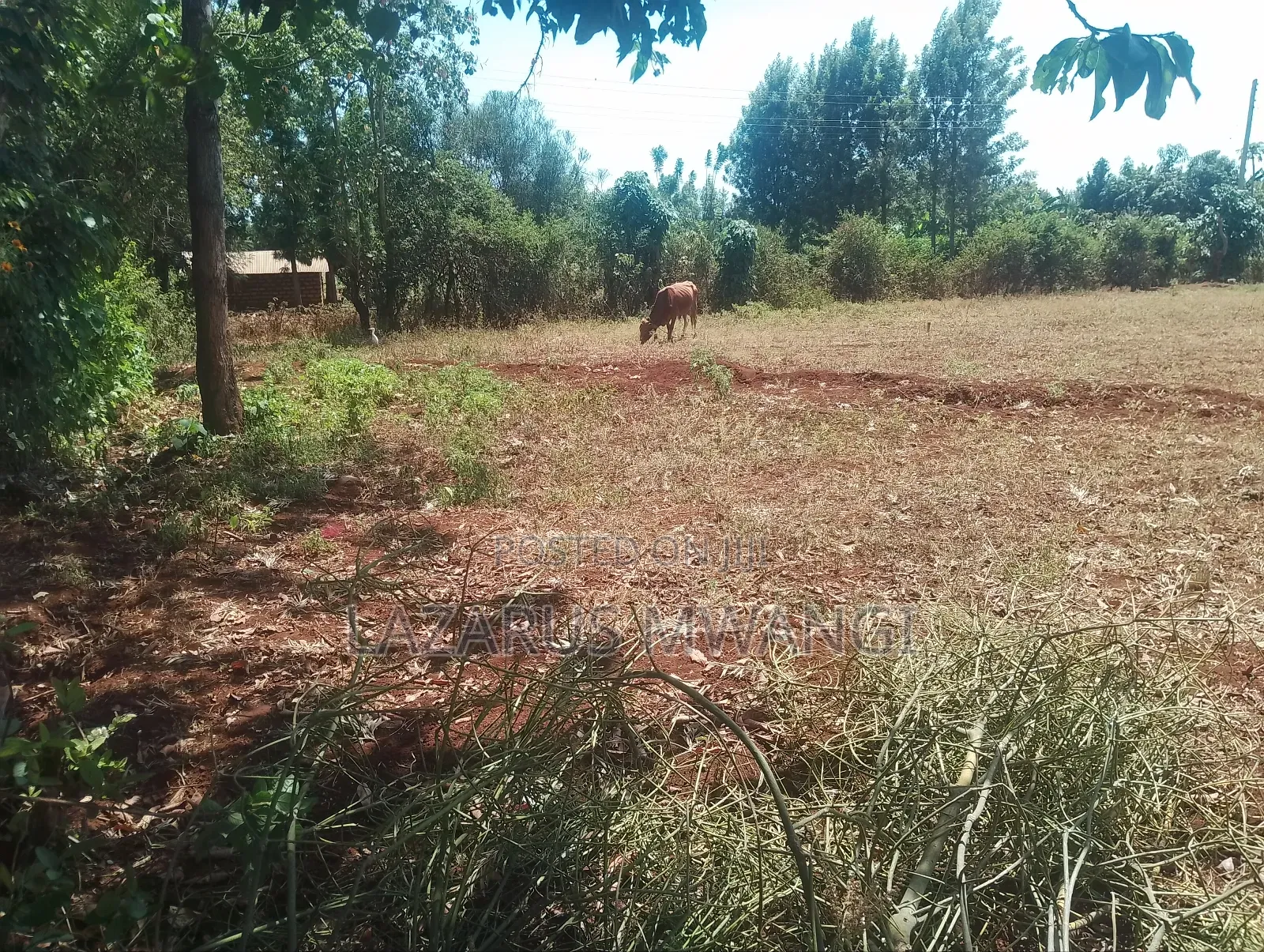 0.10 Plot for Sale at Kimicha Area Kirinyaga Near Tarmac