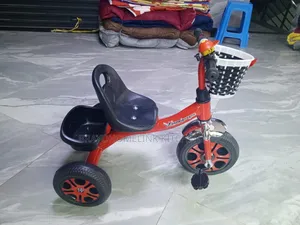 Tricycle Bike