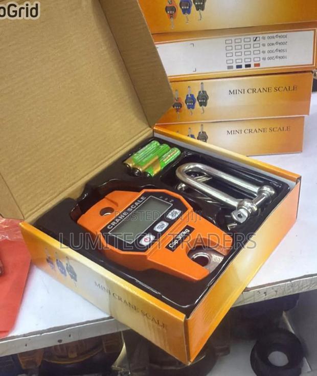 300kg Crane Scale - main view