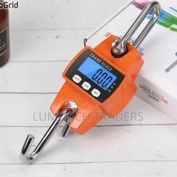 Hanging Crane Scale 300kg Weight - main view