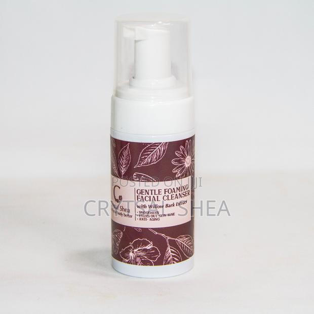 Gentle Foaming Cleanser - main view