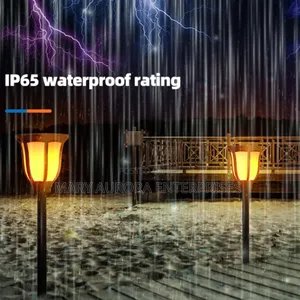 Solar Garden Lights/Flickering Lights