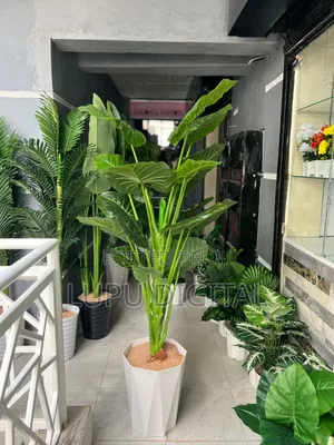 190cm Artificial Decorative Indoor Plant With Plastic Vase Pebbles