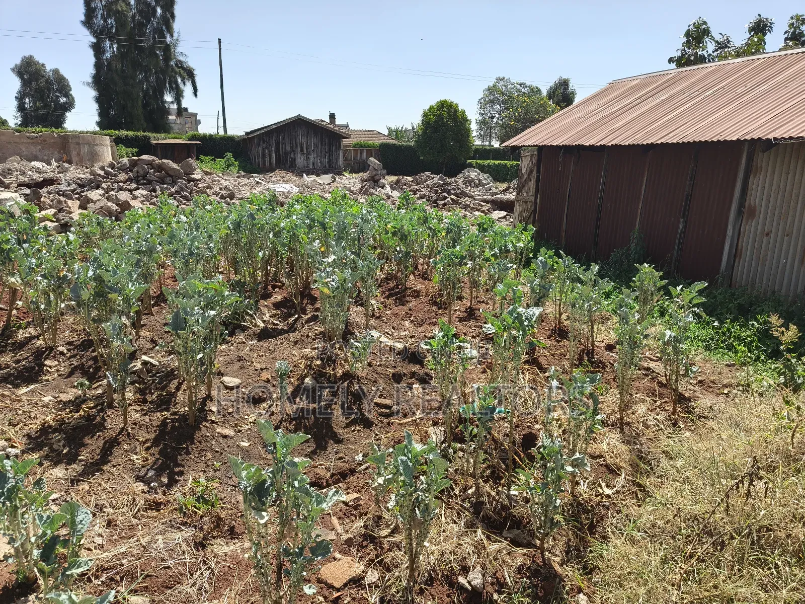 Residential Quarter Acre Plot in Kerarapon Drive, Ngong. Red Soil