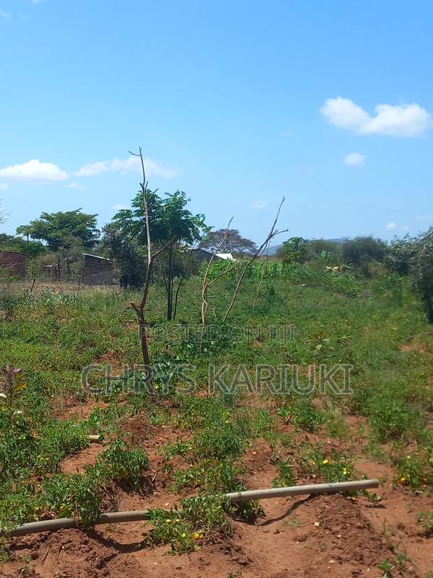 Fast Growing Kithyoko Plots - main view