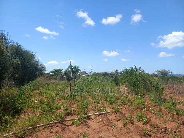 Fast Growing Kithyoko Plots - thumbnail 2