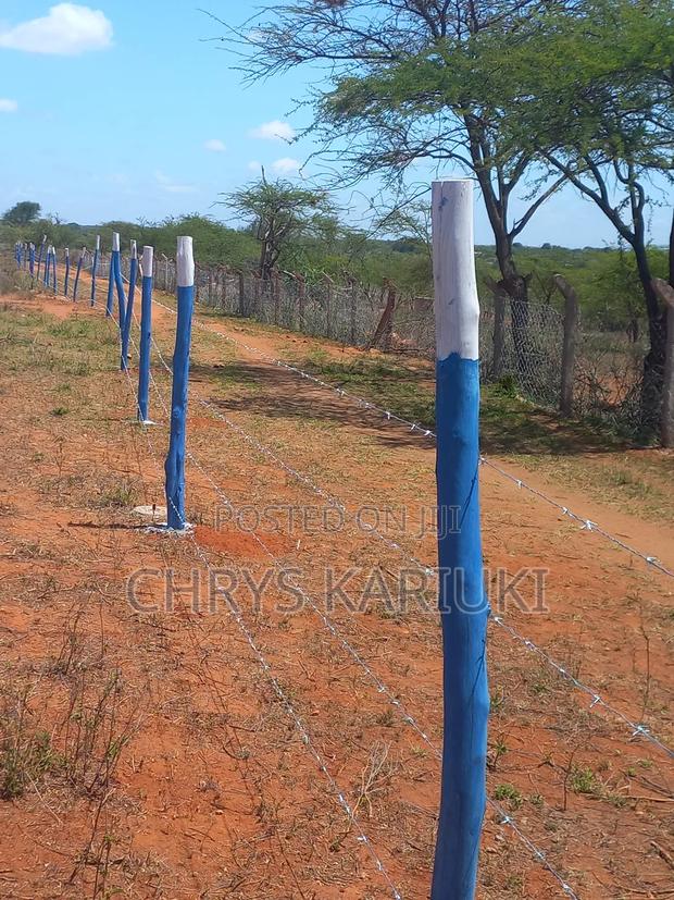 Fast Growing Kithyoko Plots - thumbnail 3