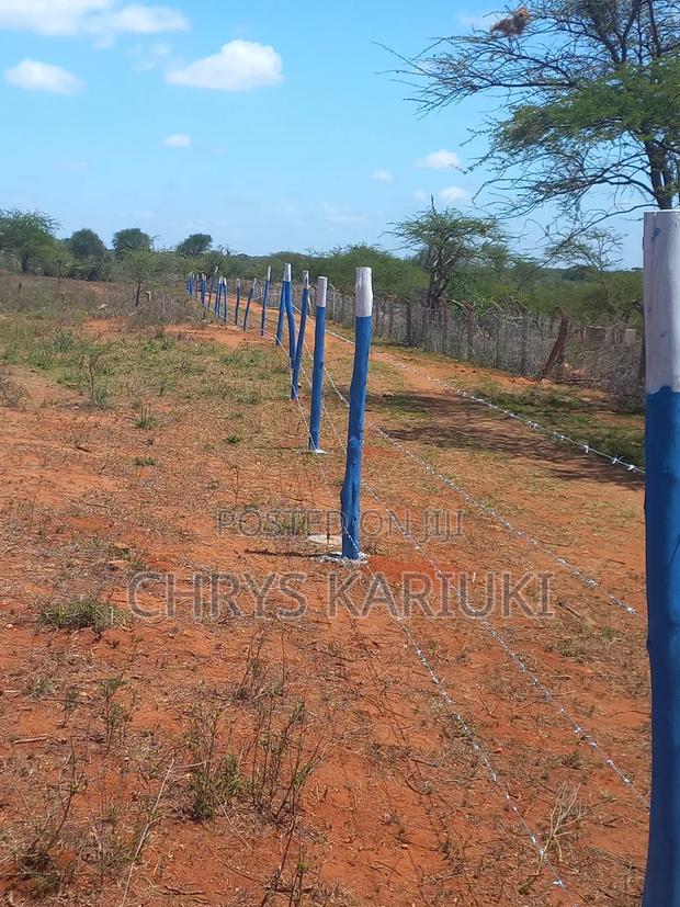 Fast Growing Kithyoko Plots - thumbnail 4